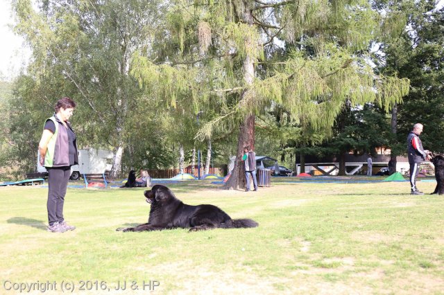 1.10.2016 Nová Živohošť