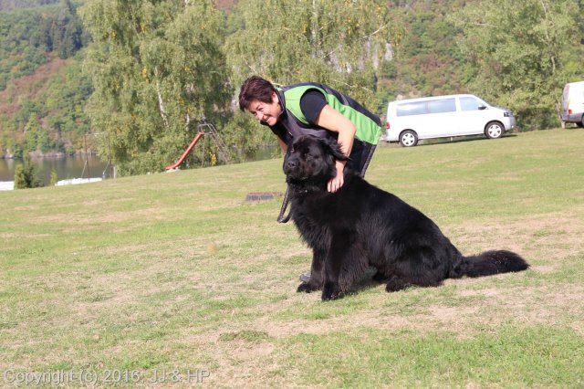 1.10.2016 Nová Živohošť