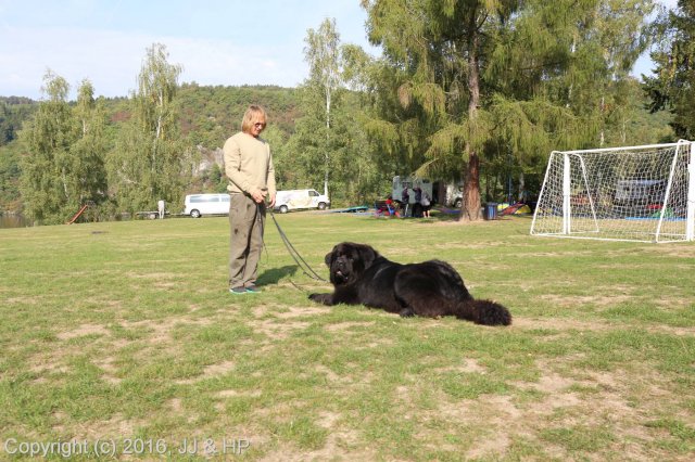 1.10.2016 Nová Živohošť