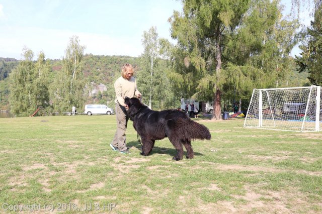 1.10.2016 Nová Živohošť