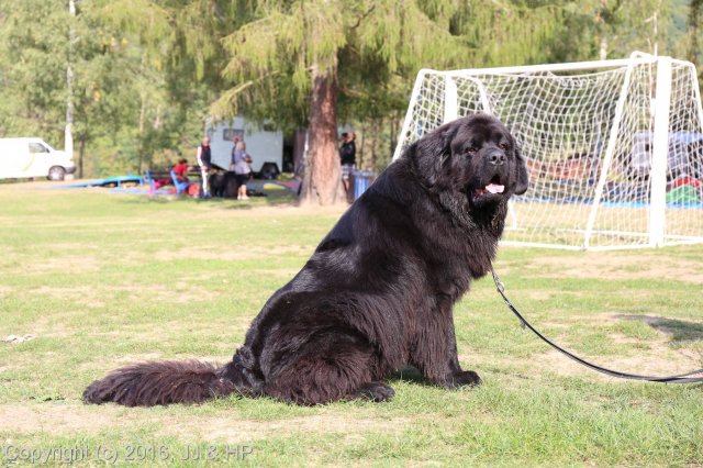 1.10.2016 Nová Živohošť