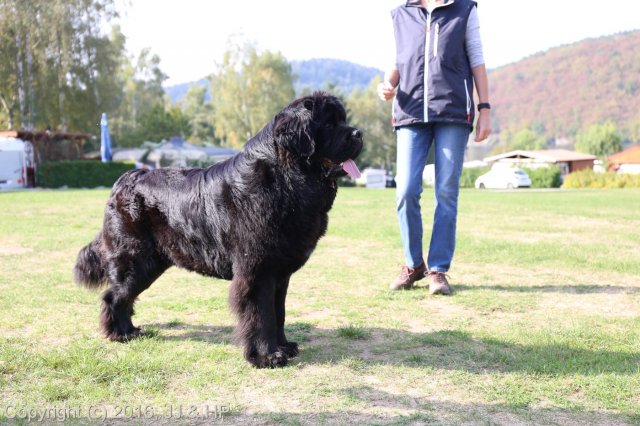 1.10.2016 Nová Živohošť