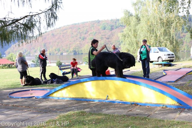 1.10.2016 Nová Živohošť