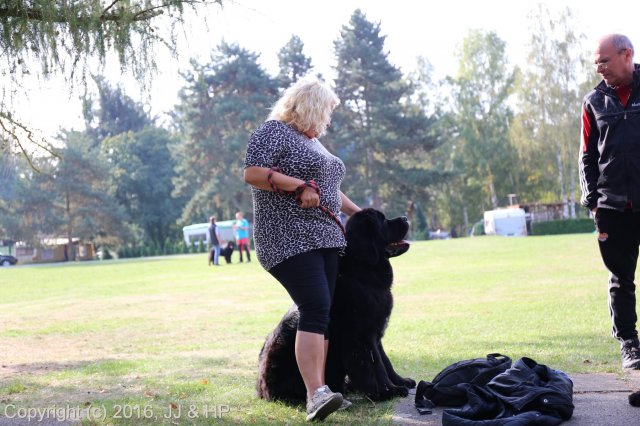 1.10.2016 Nová Živohošť