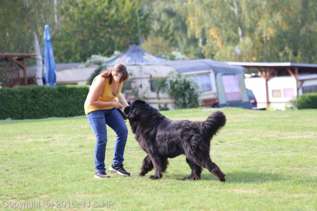 1.10.2016 Nová Živohošť