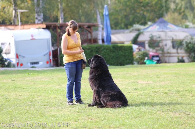 1.10.2016 Nová Živohošť
