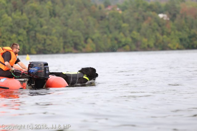 1.10.2016 Nová Živohošť