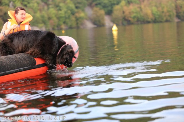 1.10.2016 Nová Živohošť