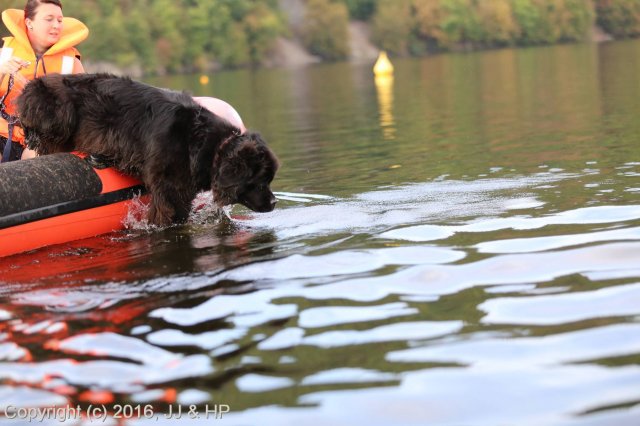 1.10.2016 Nová Živohošť