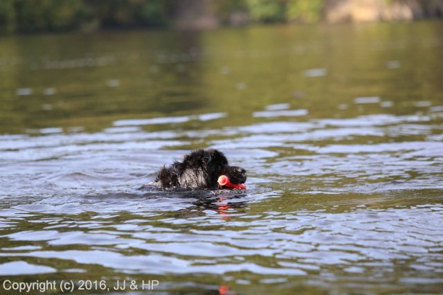 1.10.2016 Nová Živohošť