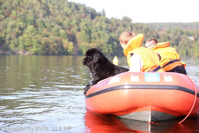 1.10.2016 Nová Živohošť
