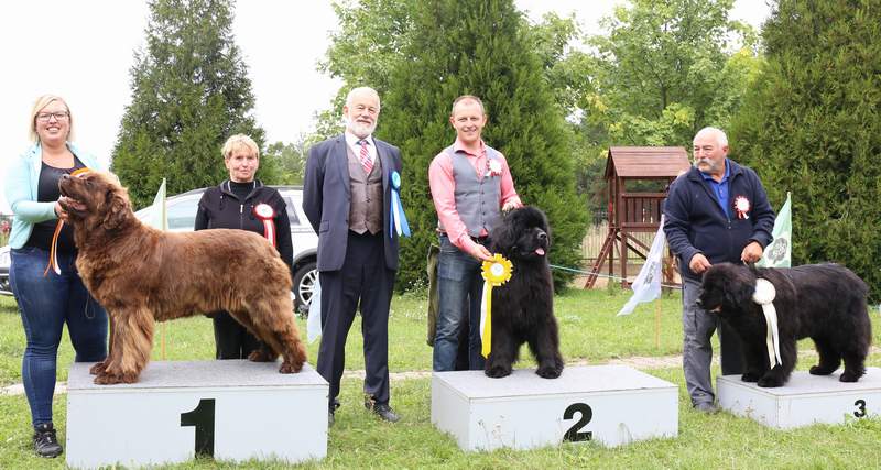 IMG 8134 bob bos bov w