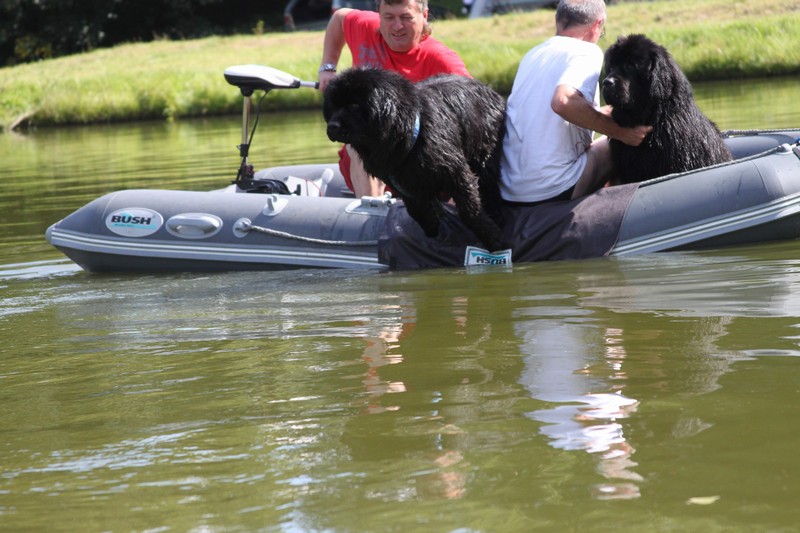 IMG 5402 regan vpred