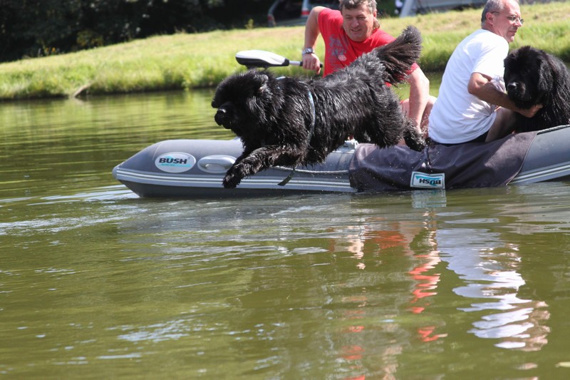 IMG 5403 regan vpred2