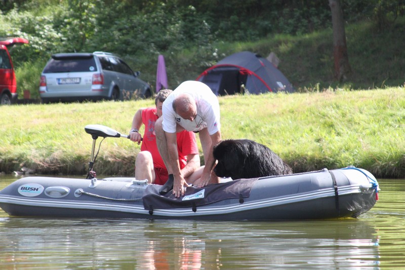 IMG 5420 ukazuti jak