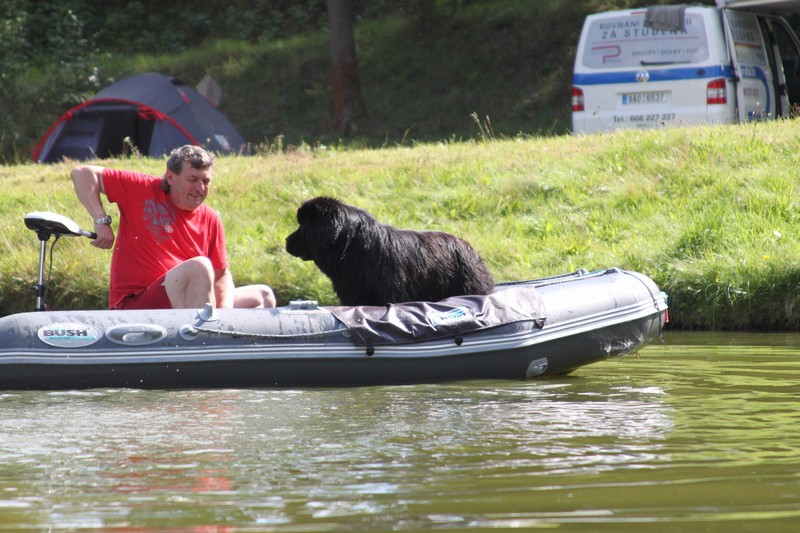 IMG 5422 myslel to vazne