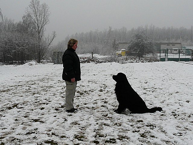 foto liben 2 p1030578.jpg