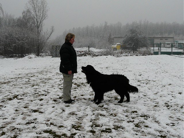 foto liben 3 p1030579.jpg