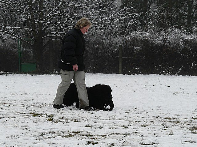 foto liben 5 p1030582.jpg