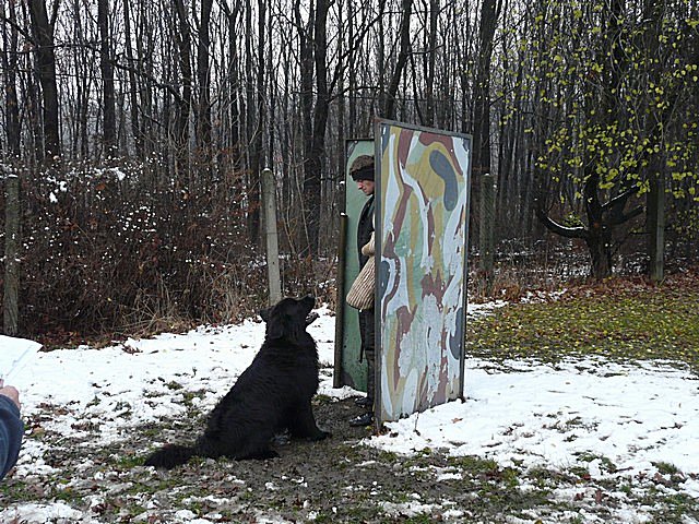 foto liben 6 p1030718.jpg