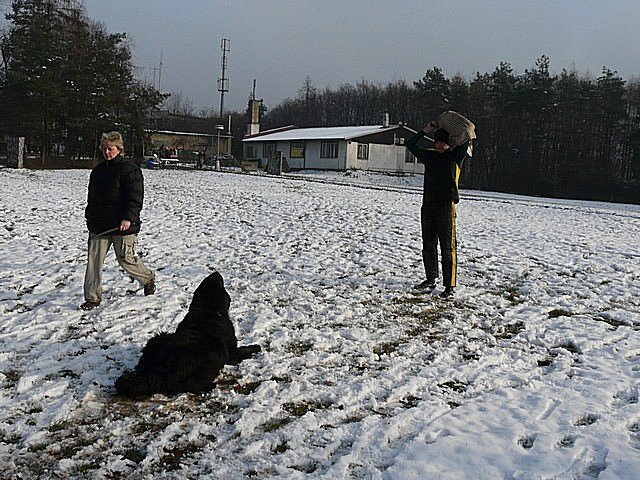 foto liben 7p1030662.jpg