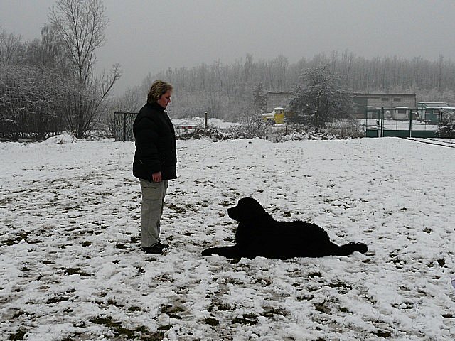 foto libenp1030577.jpg