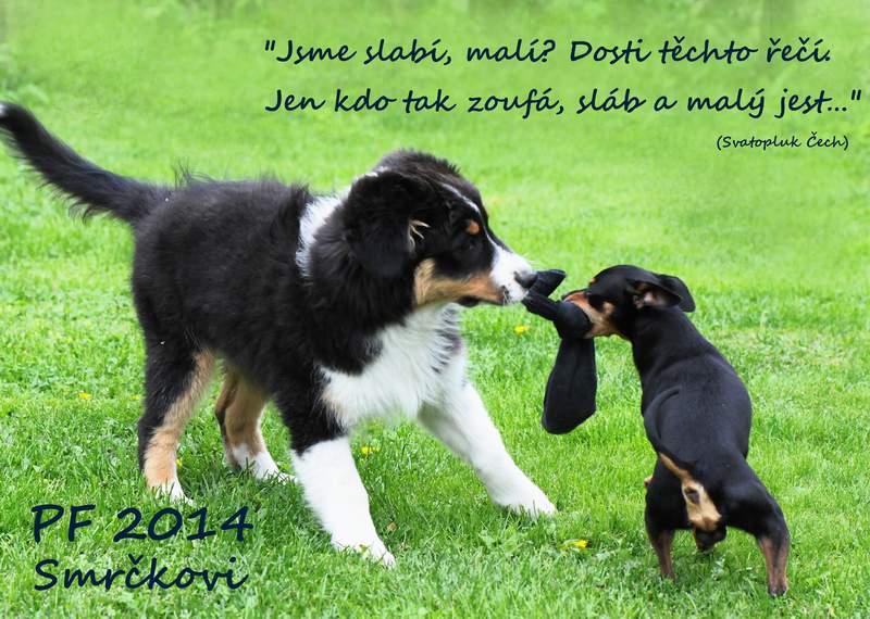 PF 2014 smrckovi