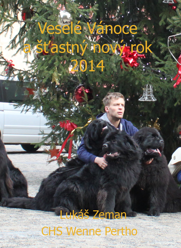 lpf2014-ukas-w kopie