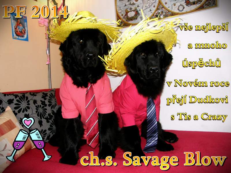 pf 2014-dudkovi