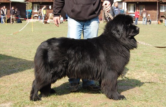 Elin z Kazničovské hůrky