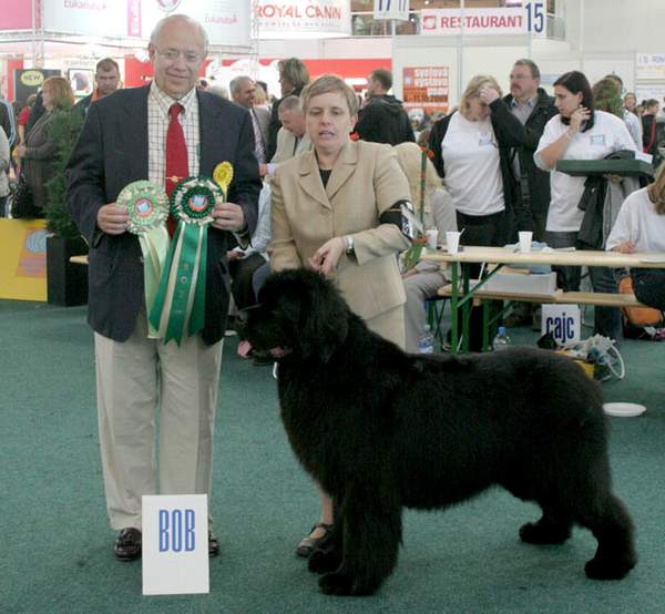 BOB, Světový vítěz - pes