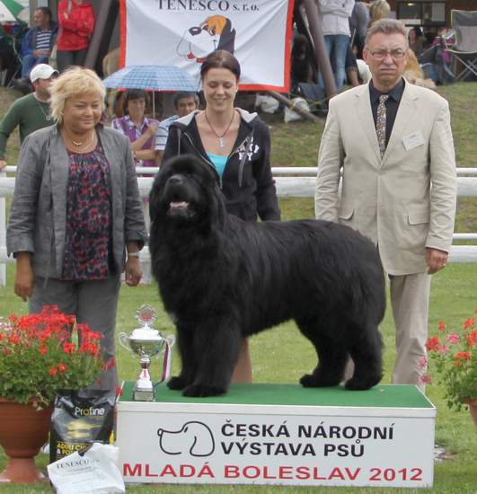 Nejlepší veterán výstavy