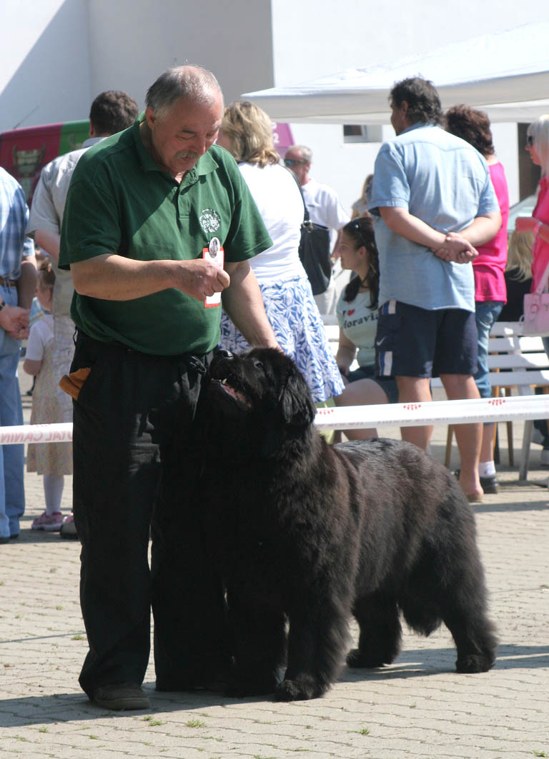 Crixijene z Vavřineckých louček