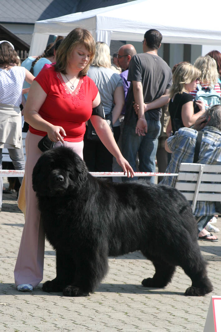 GCh.Fabricius od Trojské skály V1CAC-CACIB-BOB 4.misto BIG
