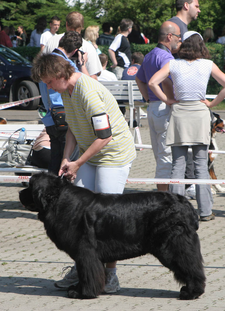 Ante Arcolan z Litovelského pomoraví