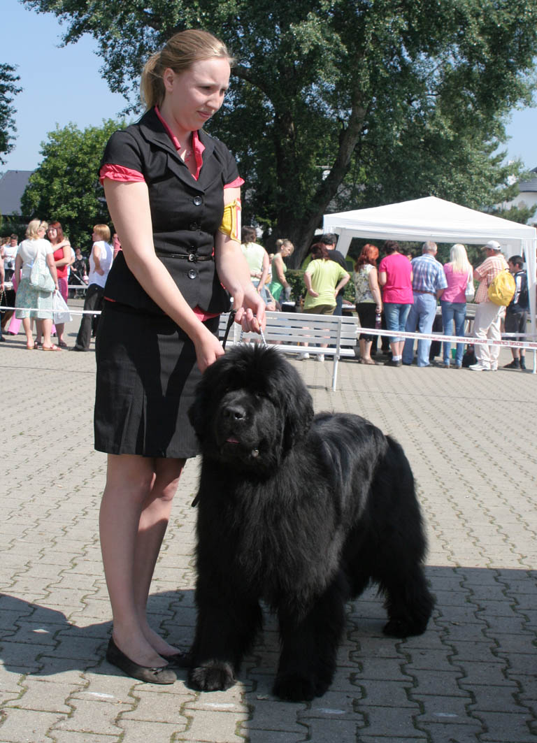 Ch.Blue Angel In My Heart vom Versetal