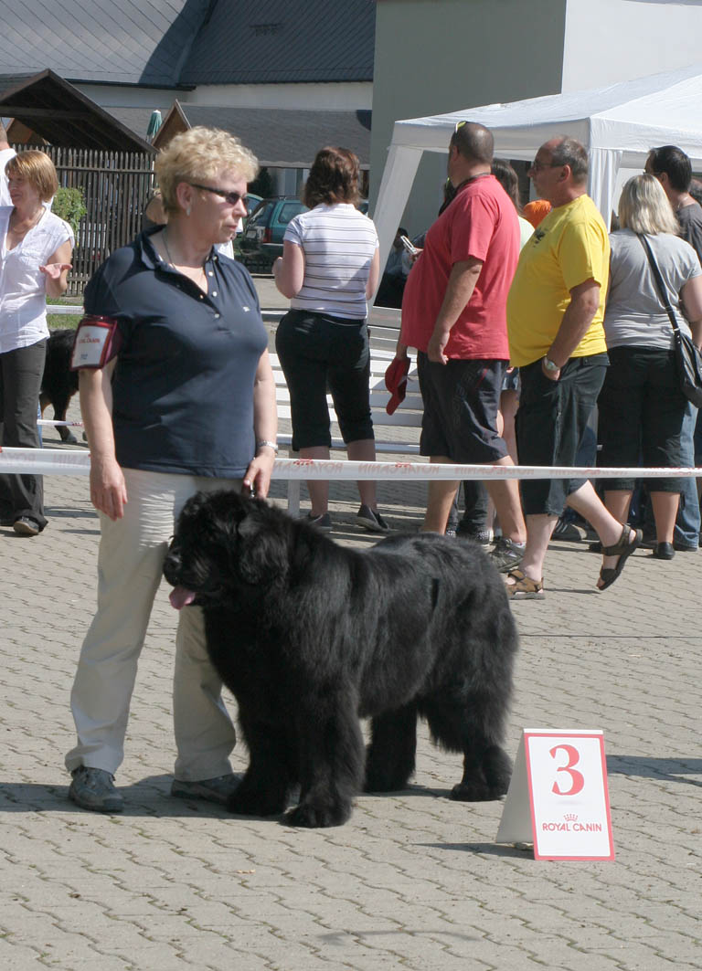 Kayra Highlander od Trojské skály