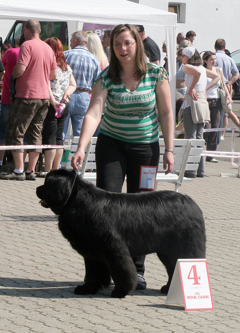 Kity Conny od Trojské skály