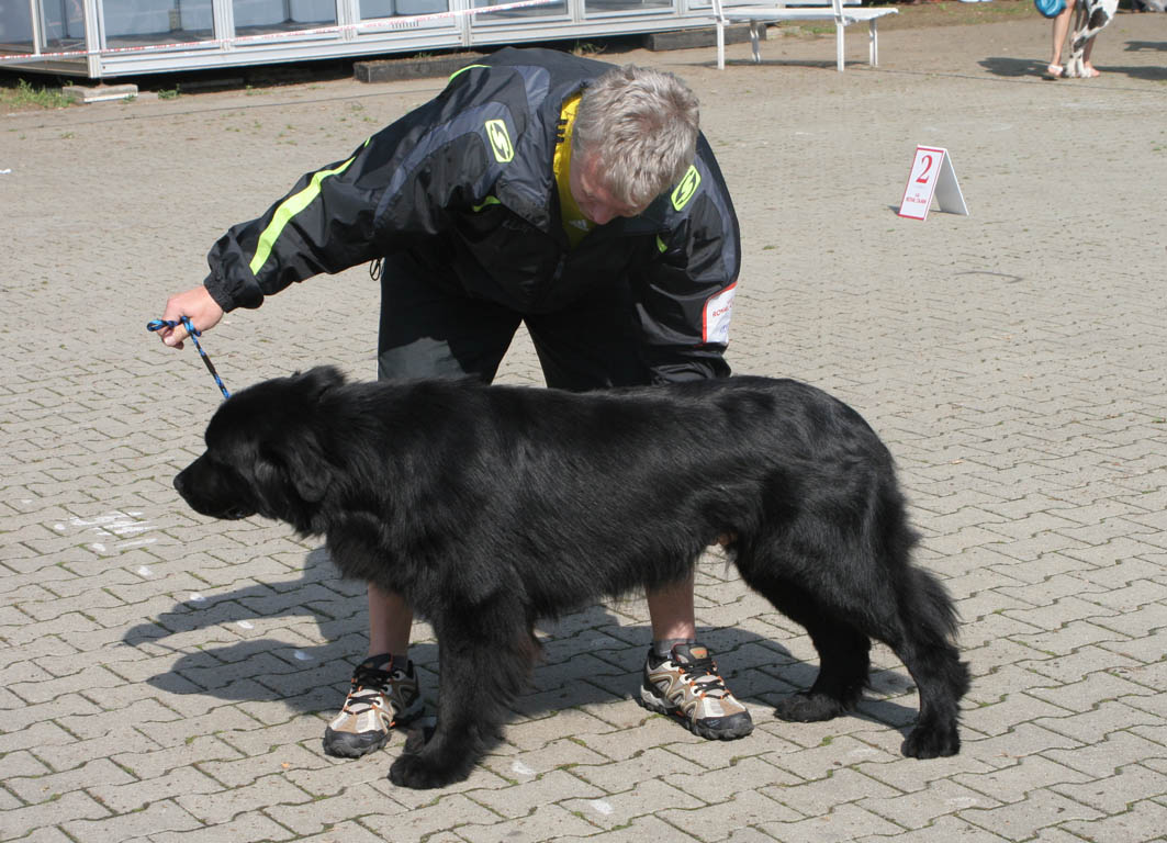 Arthur od Jistebnických rybníků V1