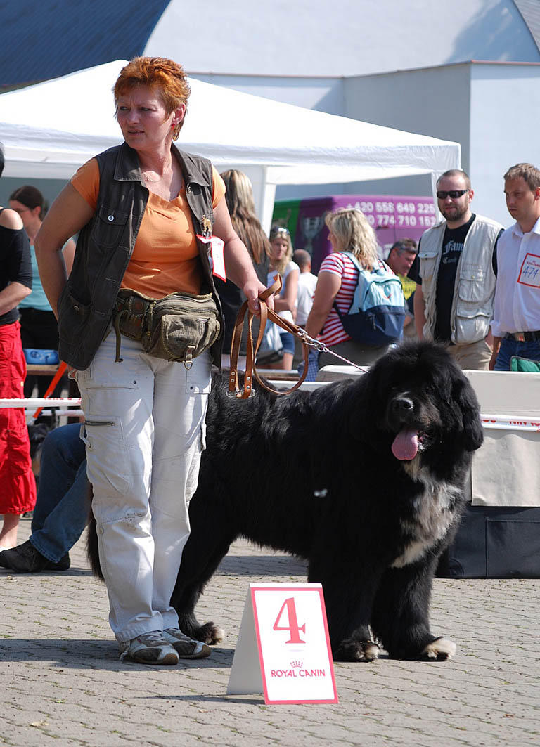 Alfi z Povodí Svratky