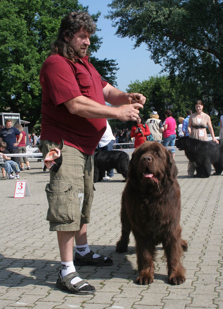 Atis od Bílého zámku