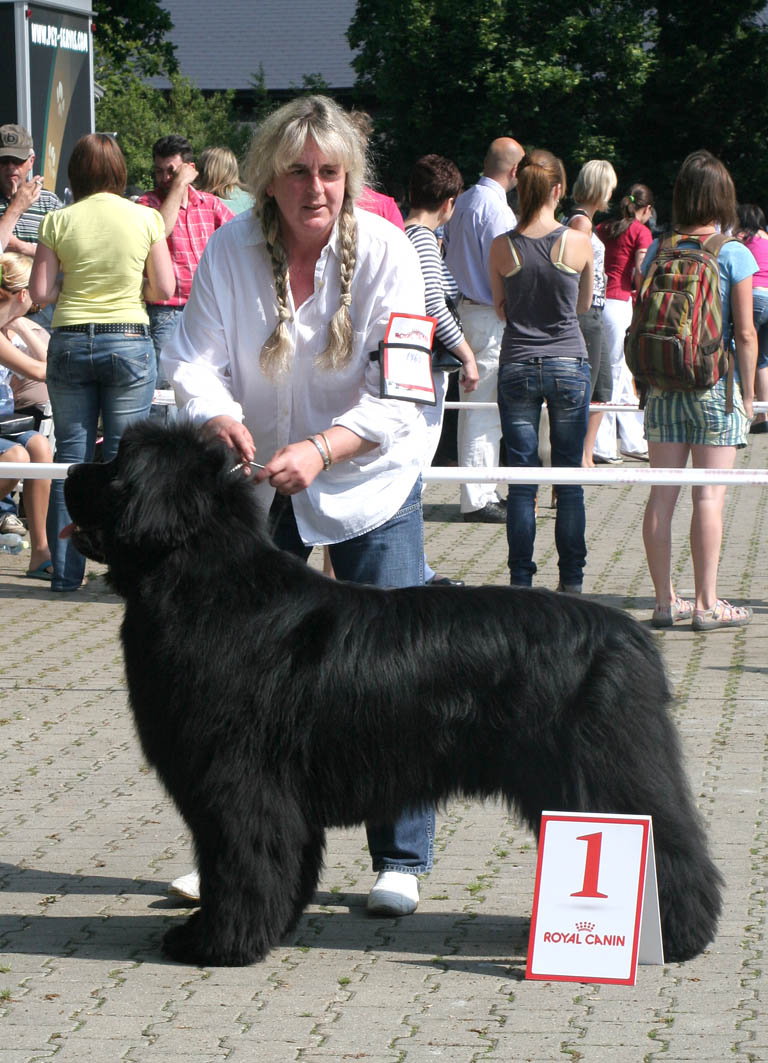 Belissimo vom Versetal