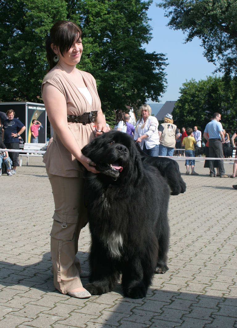 Ch.Edmond z Kazničovské hůrky