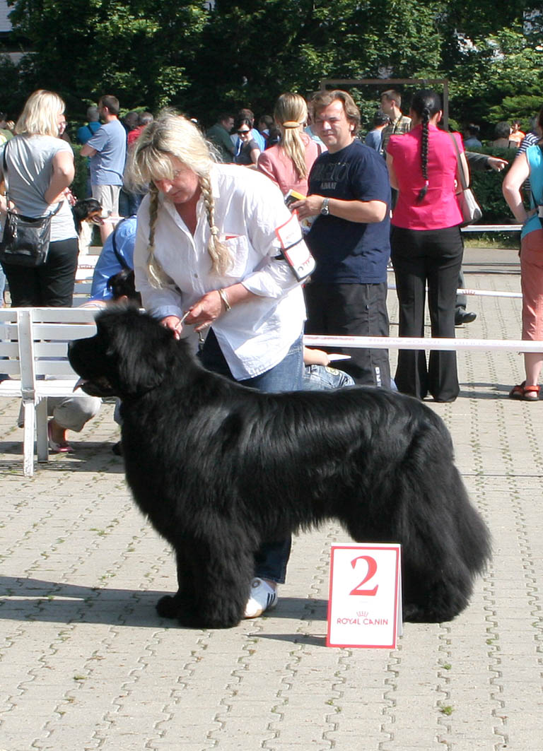 ICh.Ursinus Velutus Fuego en Soul