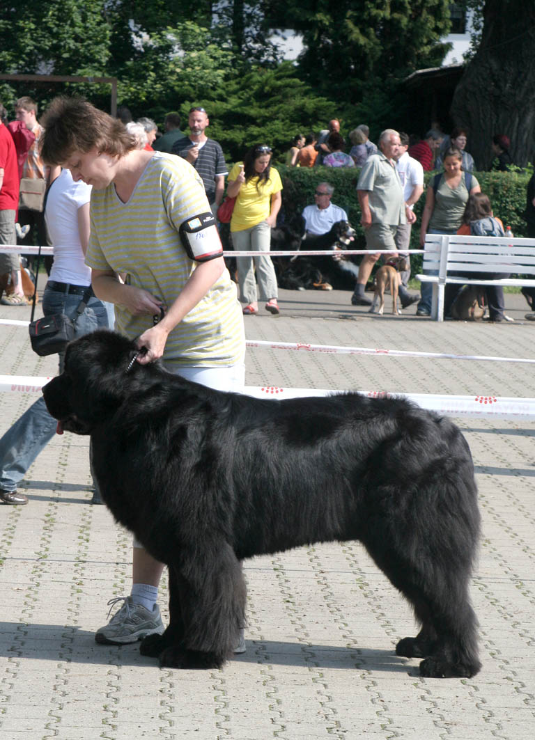 Ch.Agaton Arcolan z Litovelského pomoraví