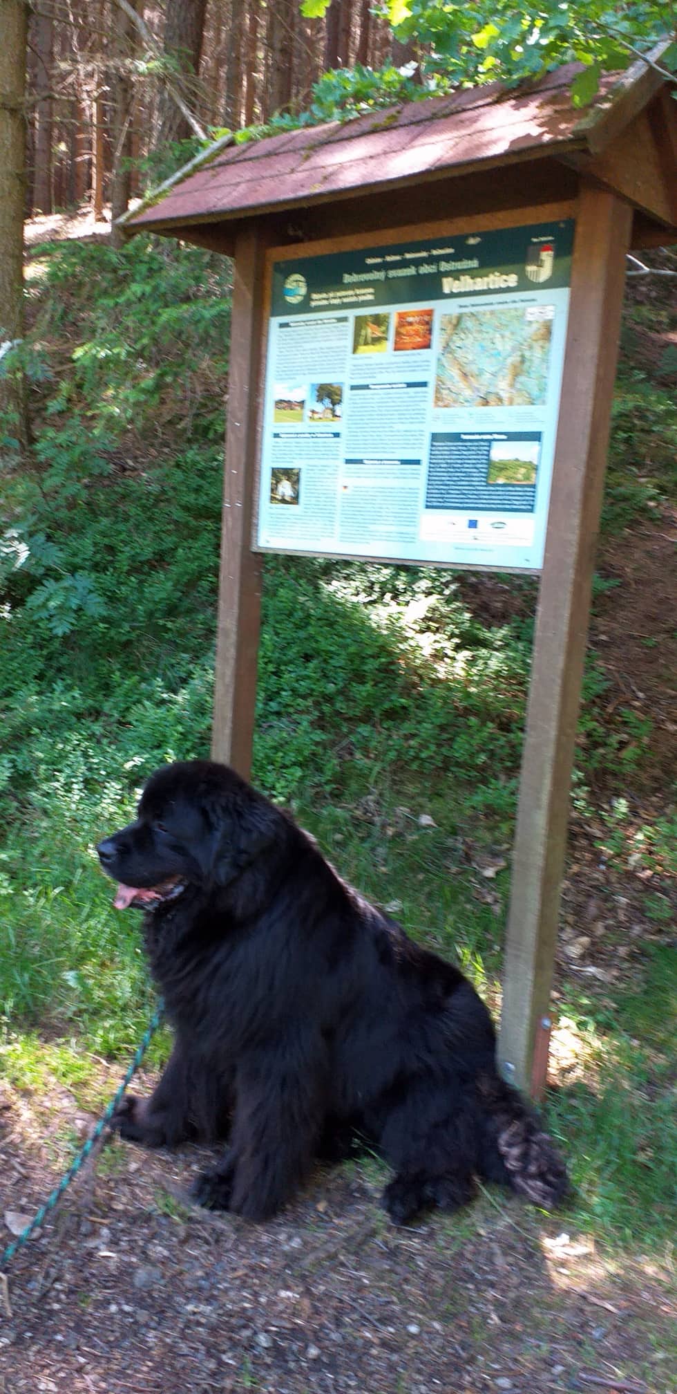 296312595 1272496530222982 1065373479658203307 n