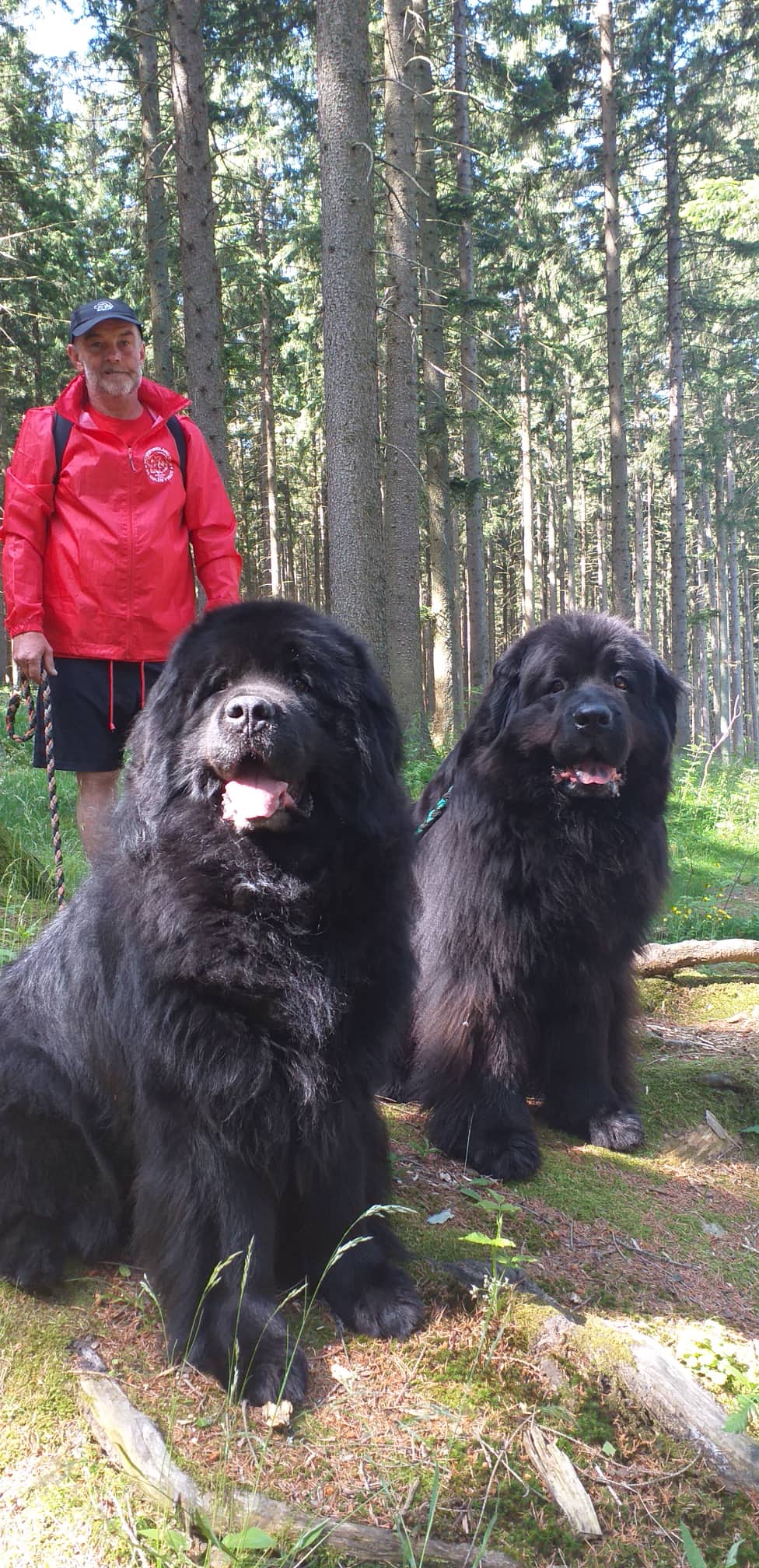 296552075 1526414437783963 7315586576602383590 n